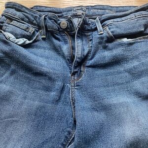 Levi's Signature Mid-Rise Skinny Jeans in Blue